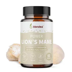 Lion's Mane (Hericium) extrakt 60 kapslí
